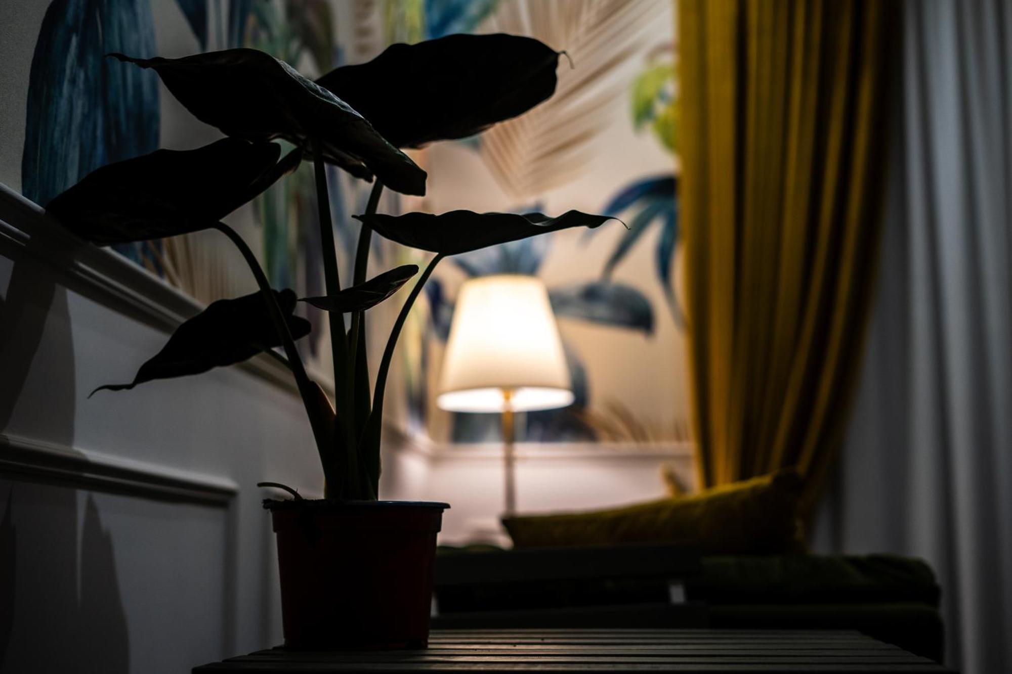 ナポリ La Grande Bellezza Bed & Breakfast エクステリア 写真